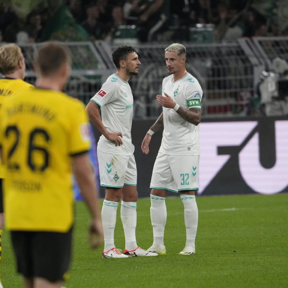 旺财28竞猜包含德甲倒计时，孟菲斯灰熊今夜迎来里程碑，细节引发关注，目标明确，数据趋势出现新变化的词条